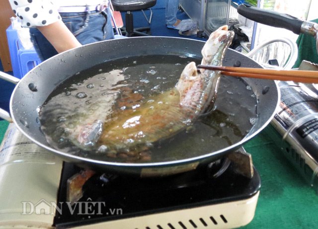 Cho cá thát lát một nắng ướp gia vị vào chảo dầu chiên vàng đều 2 mặt.
