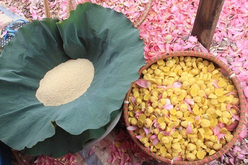 Trà cổ ướp từ sen giá bạc triệu sản xuất như thế nào?