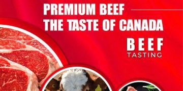 Thực khách Thủ đô thích thú trải nghiệm trực tiếp thịt bò Canada cao cấp