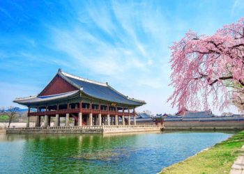 Hàn Quốc và Singapore: Hai trải nghiệm châu Á khác biệt